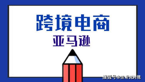 亚马逊erp系统亚无货源店群自发货软件贴牌代理定制